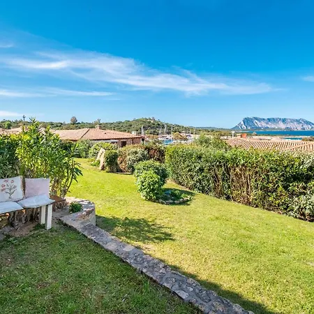 The Nice Flat Puntaldia